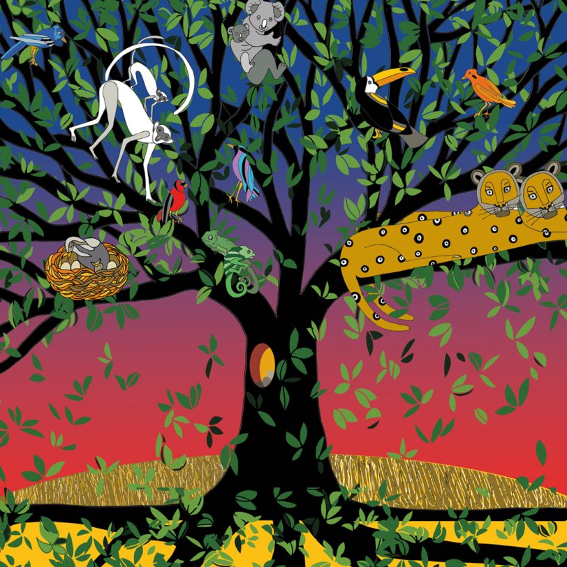 Albero degli incontri