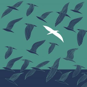 Il Gabbiano Jonathan Livingstone